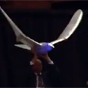 Post thumbnail of Fliegender Vogel Roboter