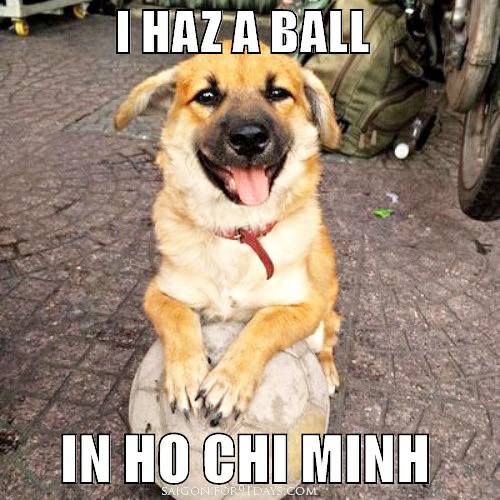 I HAZ A BALL IN HO CHI MINH