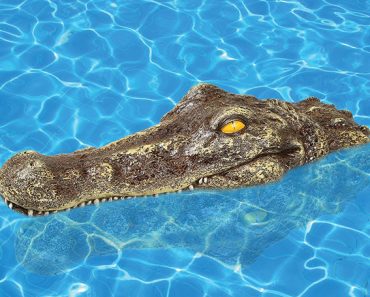 Make Them Scream This Summer: Crocodile Alligator Head Pool Floater