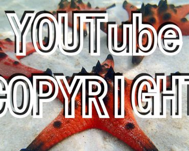 YouTube Copyright Counter Notice – What Now?